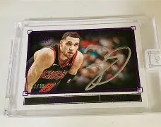 纽约尼克斯历年的组织后卫