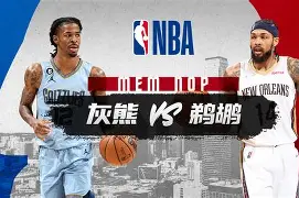 鹈鹕以前阵容